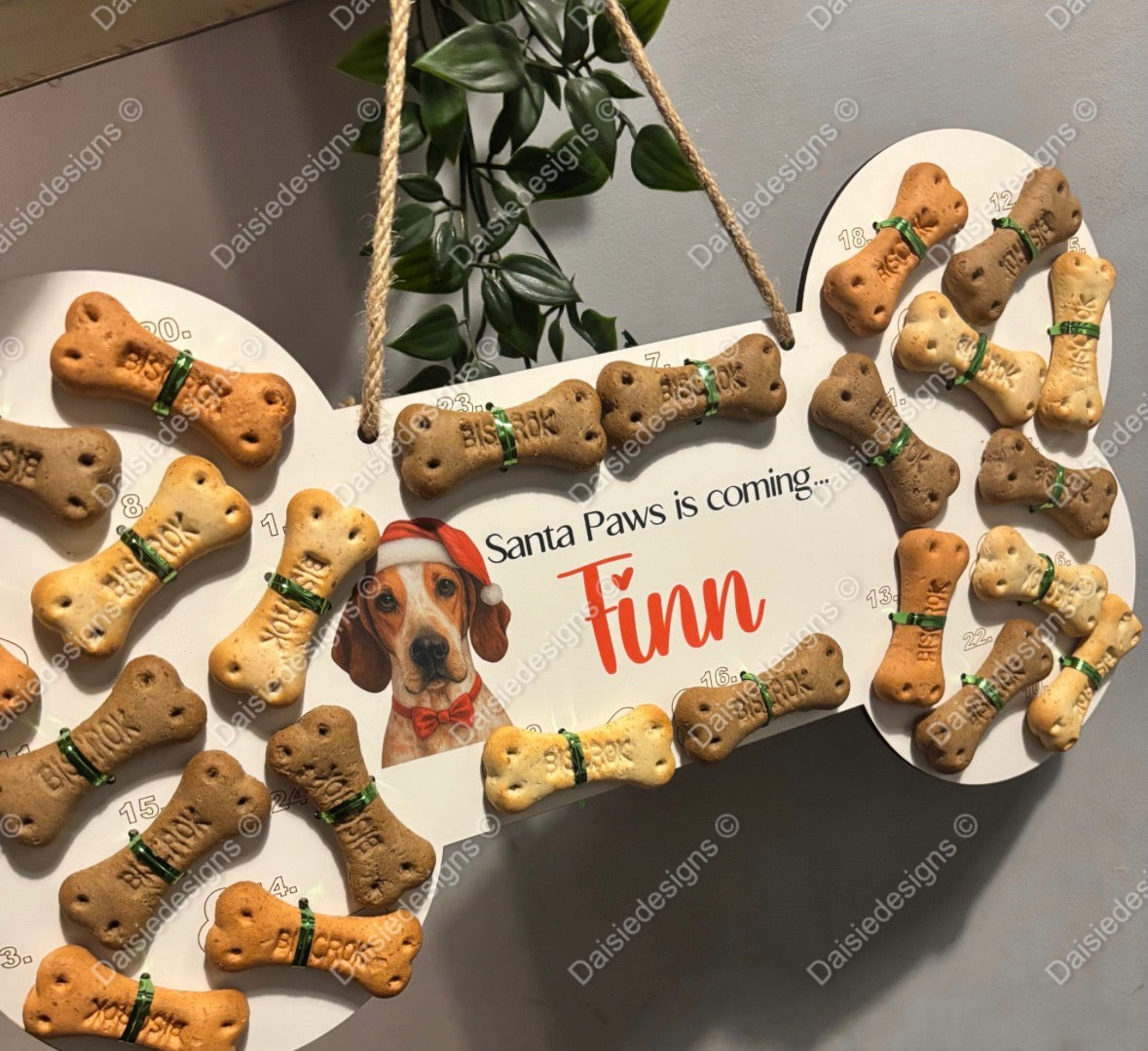 Dog bone advent calendar