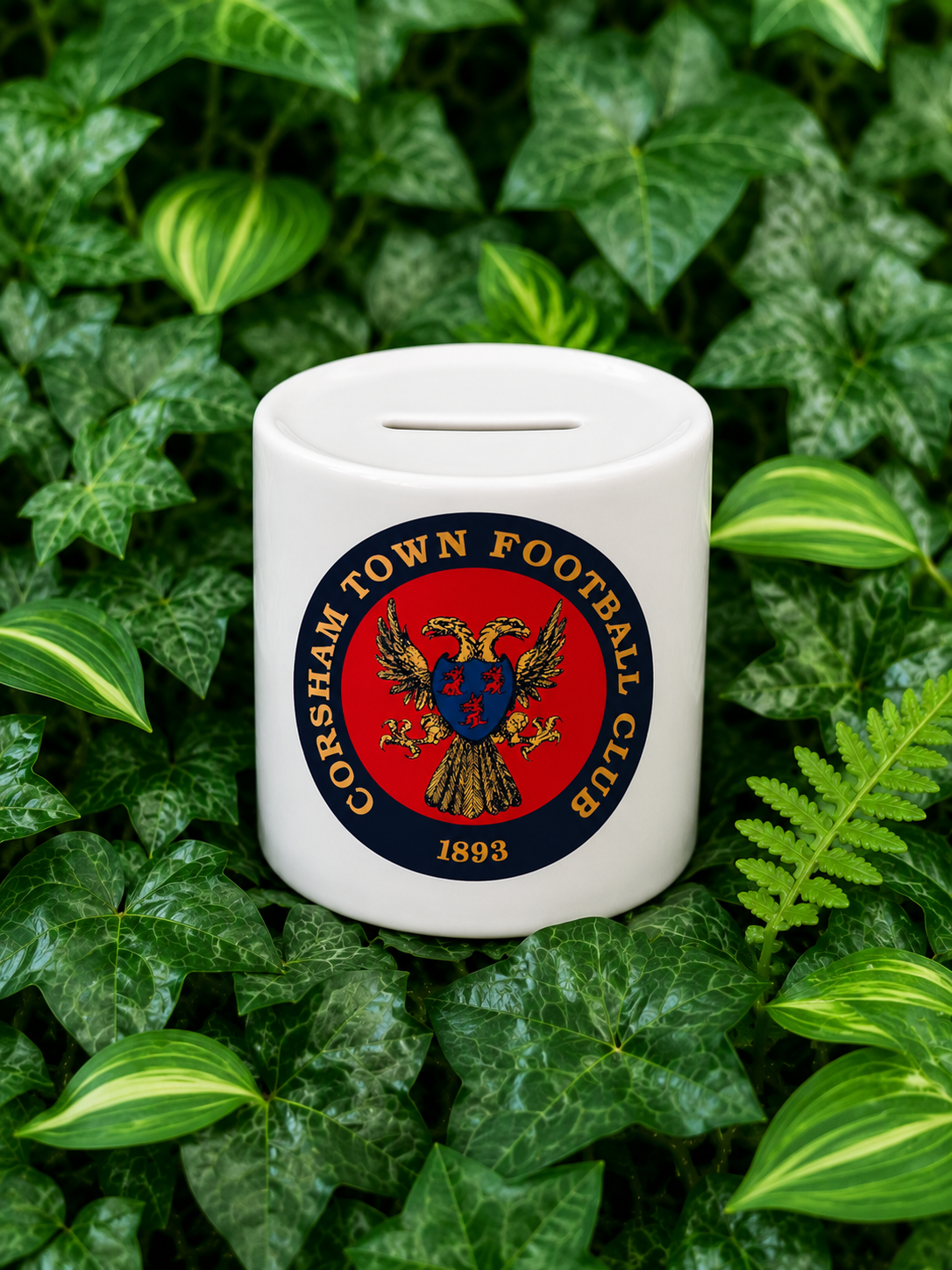CTFC money box. (small)