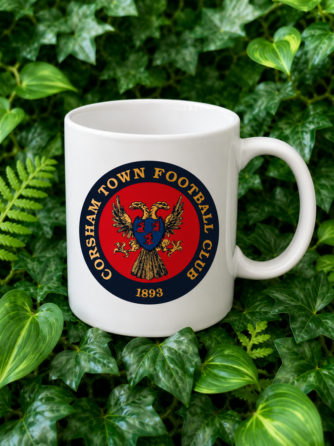 CTFC mug