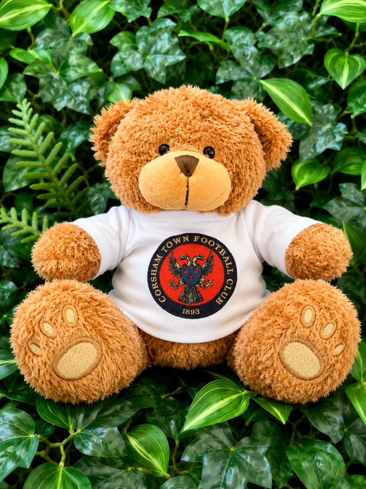 CTFC bear with T-shirt.