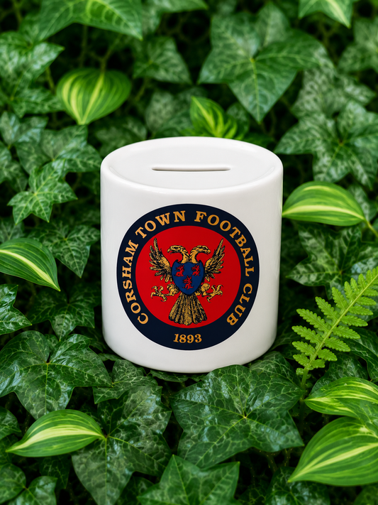 CTFC money box. (small)